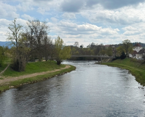 Ferienwohnung Gaggenau MurgLoge Gassling Homes Schwarzwald (10)