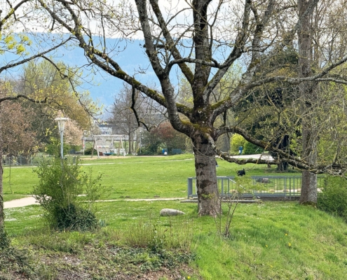 Ferienwohnung Gaggenau MurgLoge Gassling Homes Schwarzwald (9)