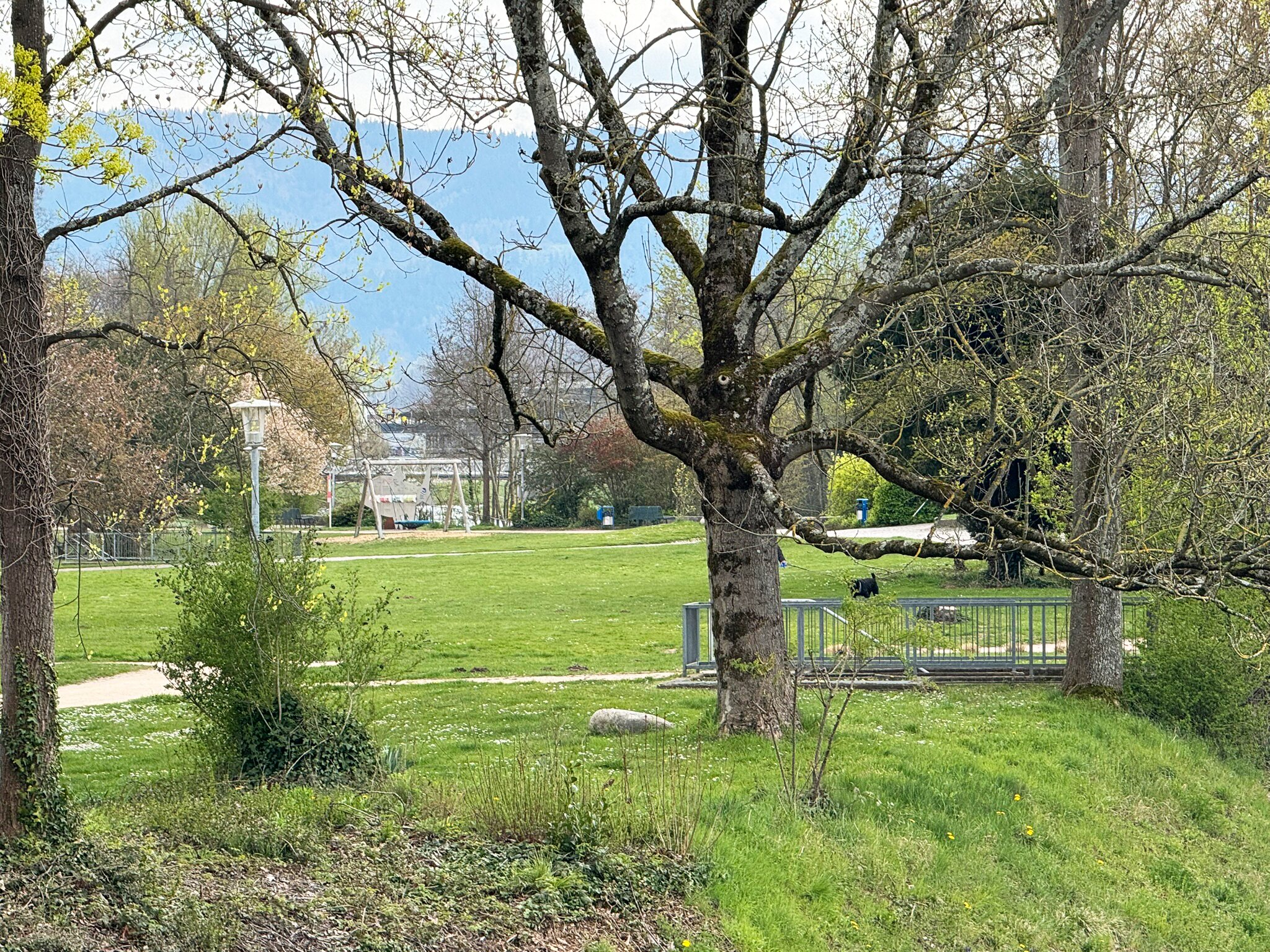 Ferienwohnung Gaggenau MurgLoge Gassling Homes Schwarzwald (9)