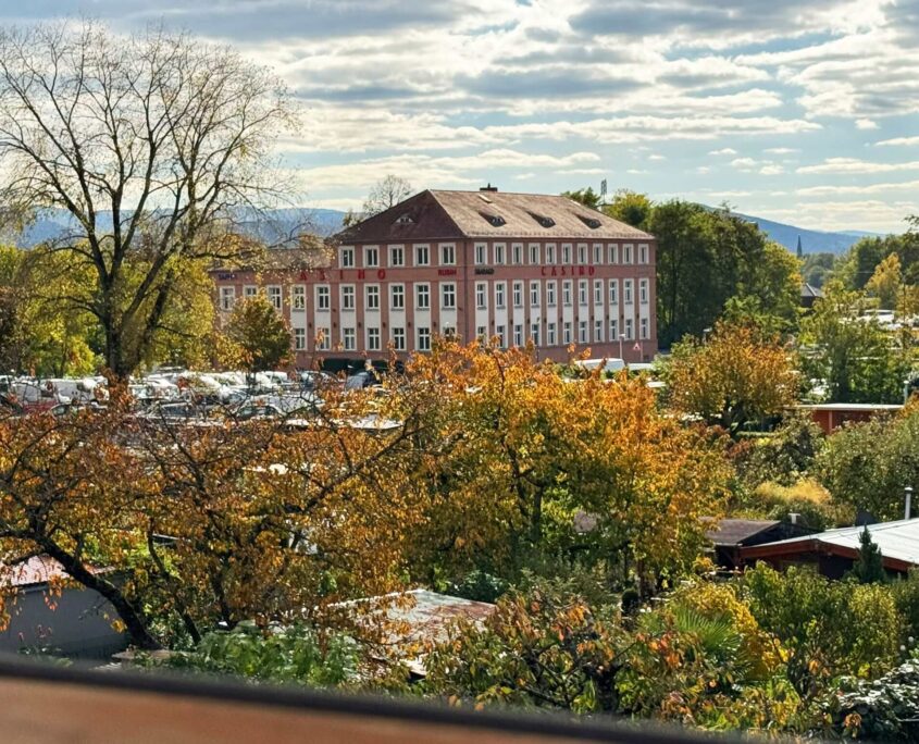 Ferienwohnung Schwarzwald Gassling Homes (7)