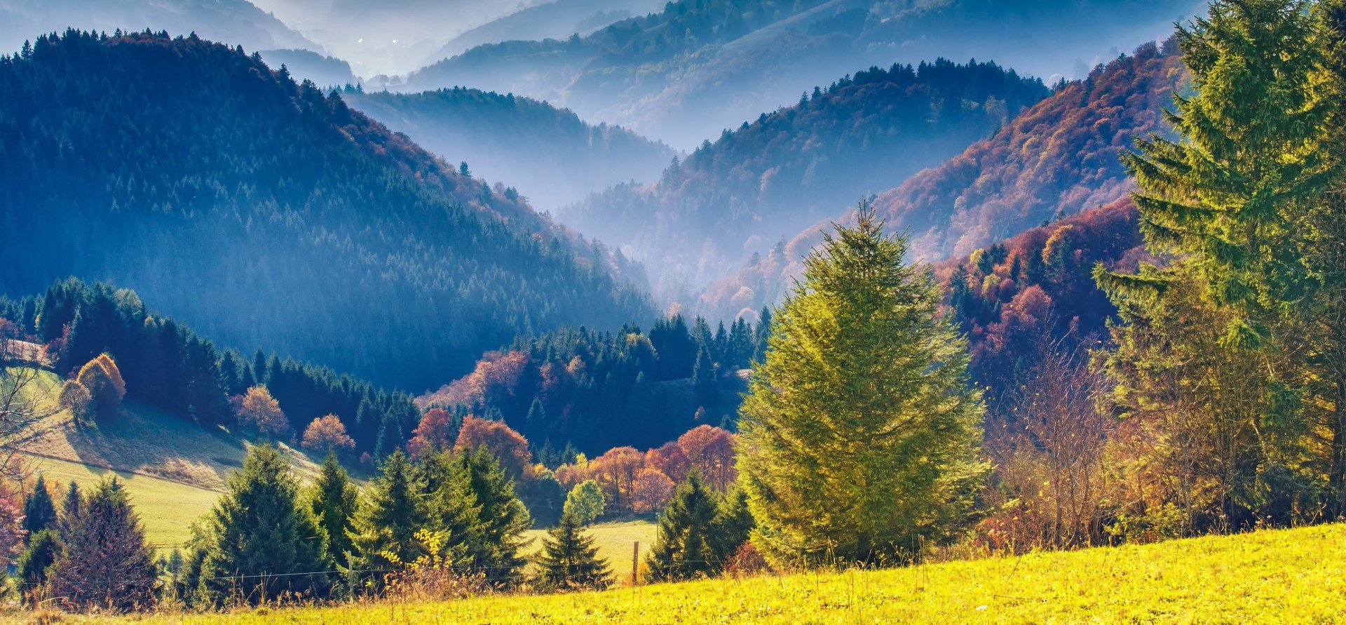 Ferienwohnung Schwarzwald Gassling Homes